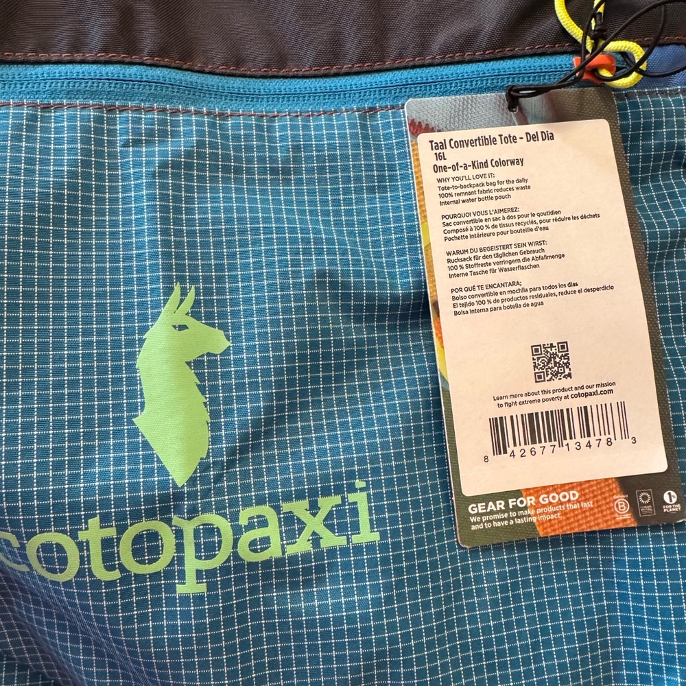 Cotopaxi Teal and Lime Convertible Tote